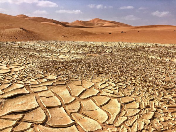 Quelques conséquences du changement climatique sur la planète