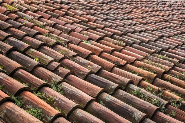 Comment Choisir les Matériaux Appropriés pour la Rénovation de Votre Toiture ?